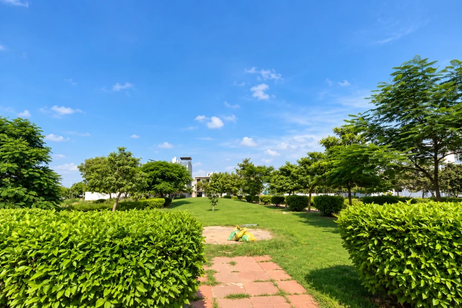Landscaped park with greenery at Jindal Global City Sonipat