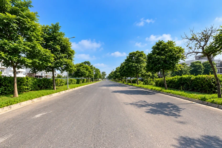 Wide internal road with greenery at Jindal Global City Sonipat