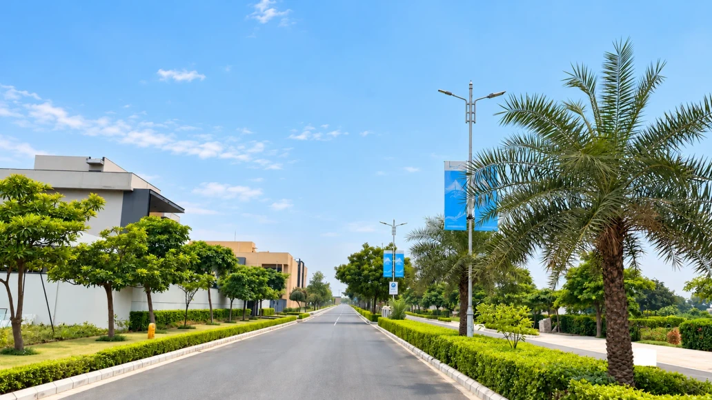 Landscaped road and green spaces at Jindal Global City